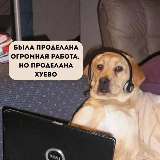 47 начальников внаглую маринуют шалык!