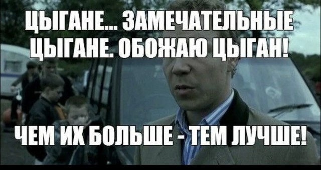 Новосибирский цыган сбил собаку и потребовал от её хозяйки оплатить разбитый бампер