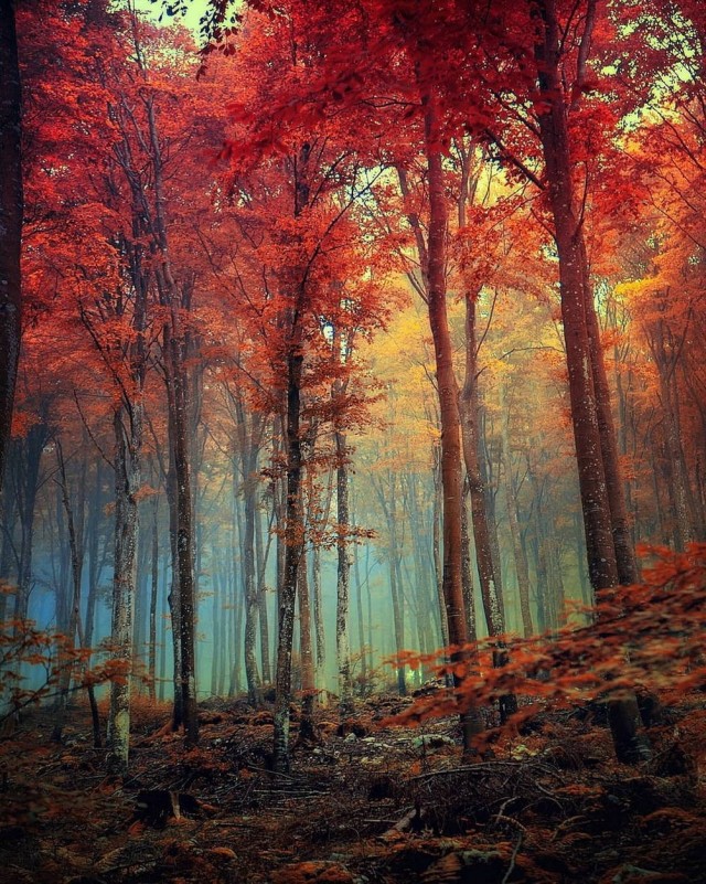 October
