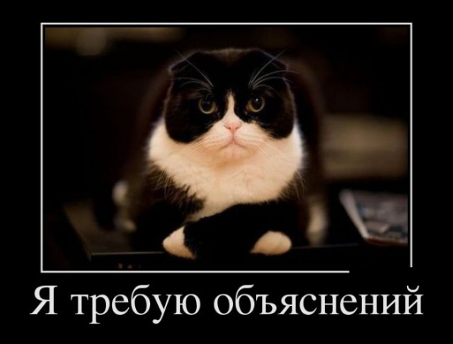 Демотиваторы.