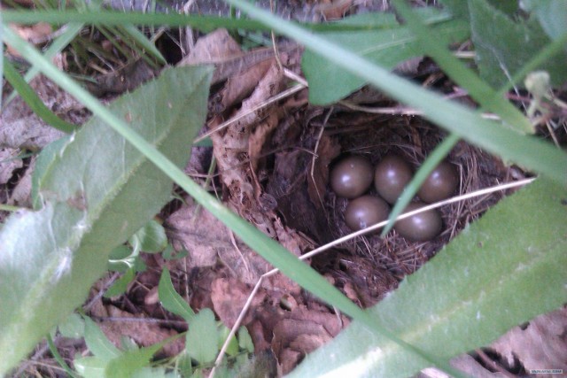 Просто выходные...