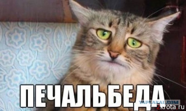Вот так бывает...