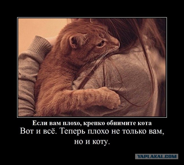 Демотиваторов пост, добавляйте свои