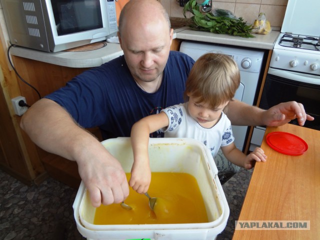 Папы, а давайте о наших детках поговорим?