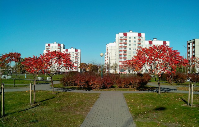 Деревенская Америка