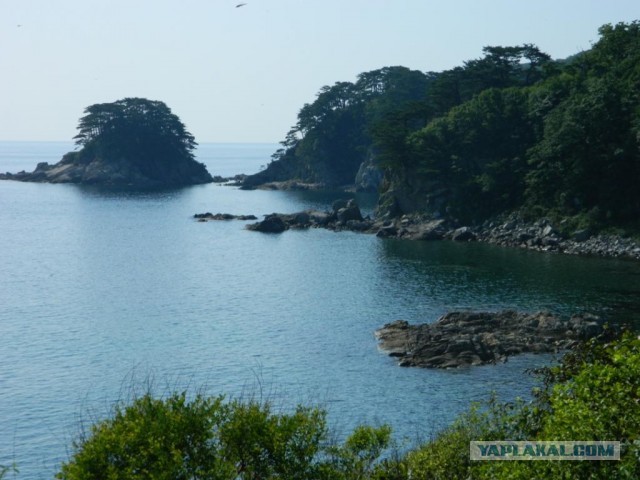 Бухта Теляковского