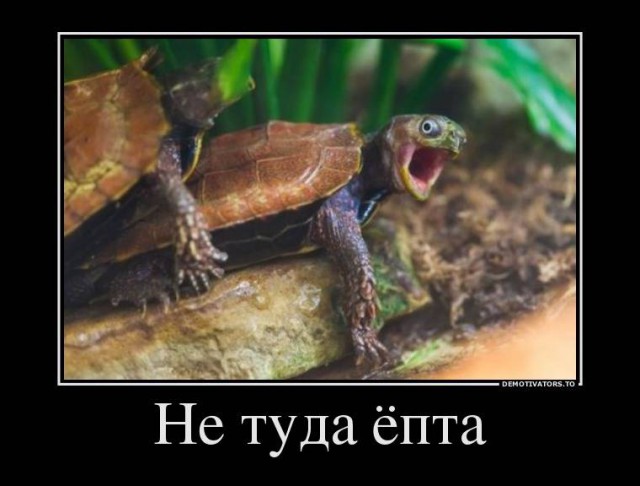 ВдуваютЪ