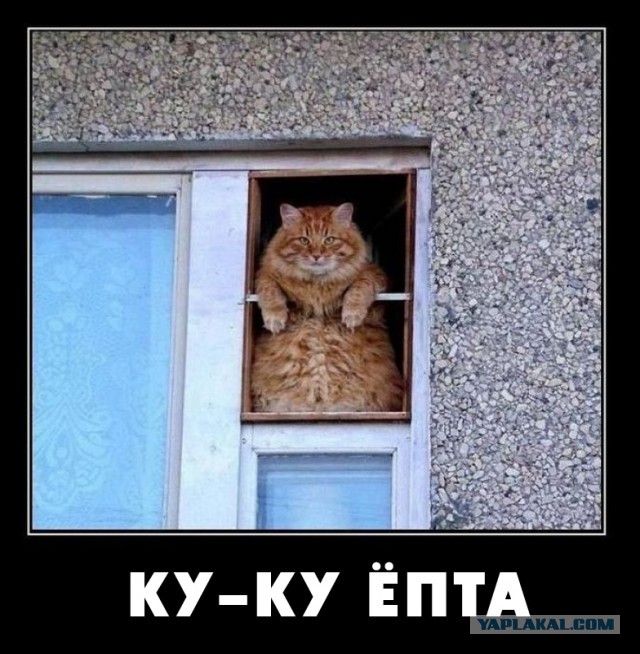 Картинки  разные