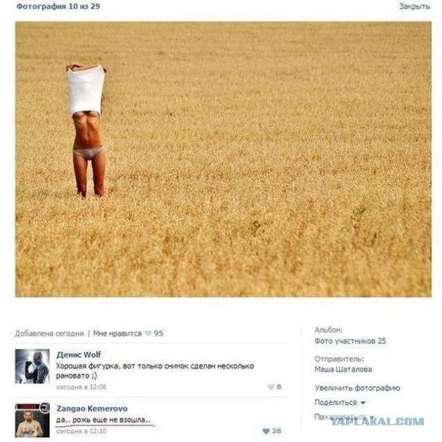 Картинки разные