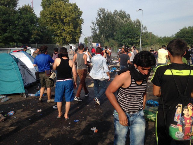 Мигранты начали штурм границы Венгрии