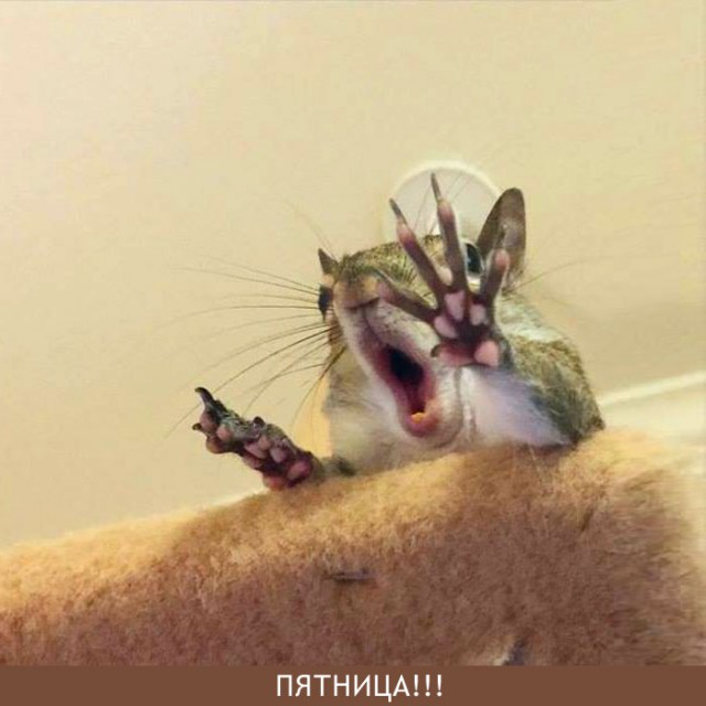 Немного веселых картинок