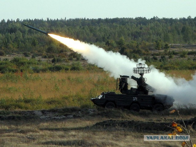 Полицейские из Аризоны вооружатся русской «Осой»