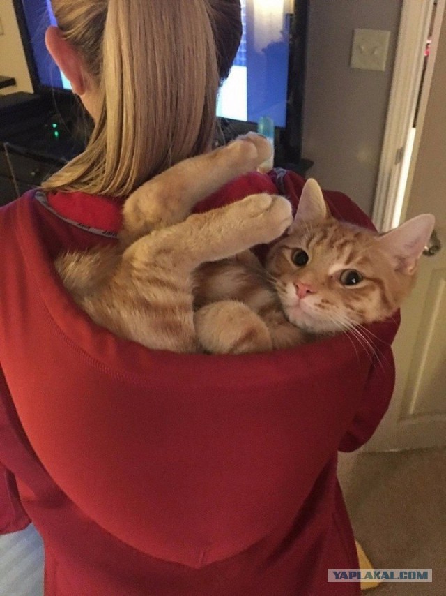 Я узнал, что у меня есть огромная семья