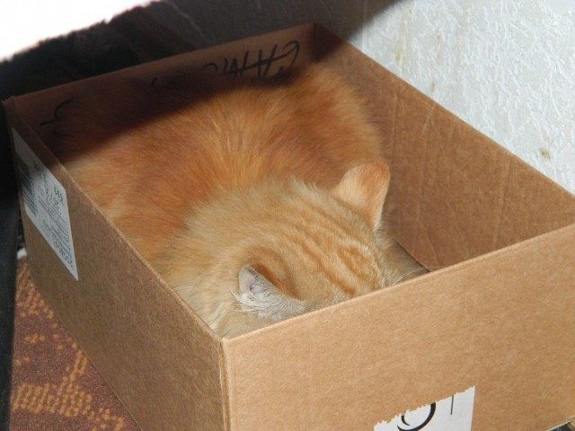 Размеры коробочки на степень удобства не влияют