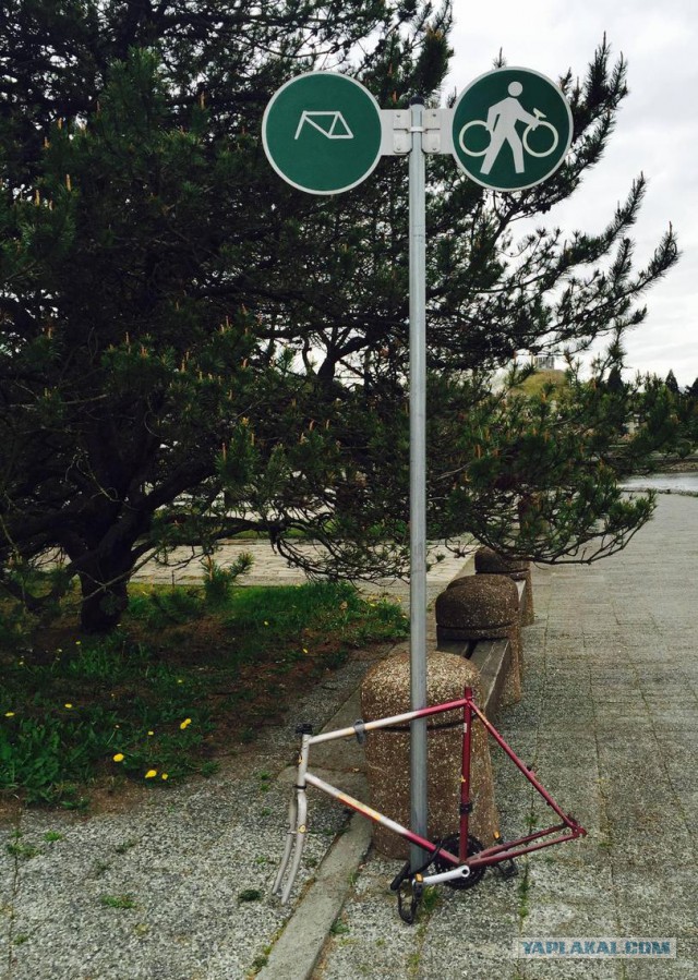 Интересные и веселые картинки