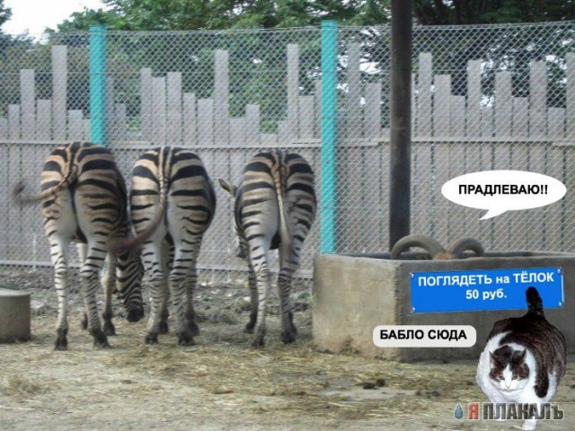Фотожаба: Невидимый зверь