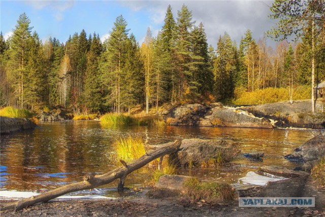 Подборка "тёплых, уютных, домашних" фотографий. Часть 9