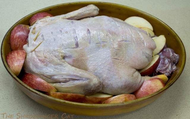 International одной книги., В память о Дженибеке.