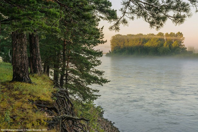 Картинок разных