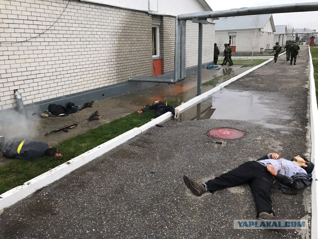 Шесть боевиков ликвидированы при нападении на полк Росгвардии в Чечне
