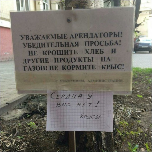 Приколы в стиле "регресс"