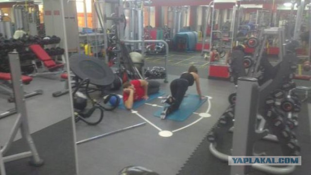 Прикольные картинки 19.06.2017.