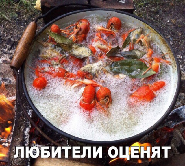 Картинки из сети