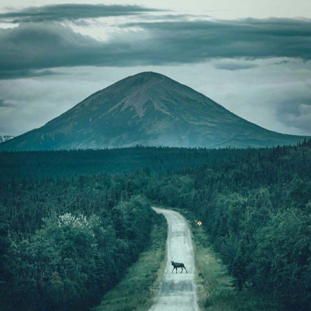 Всякие разные картинки