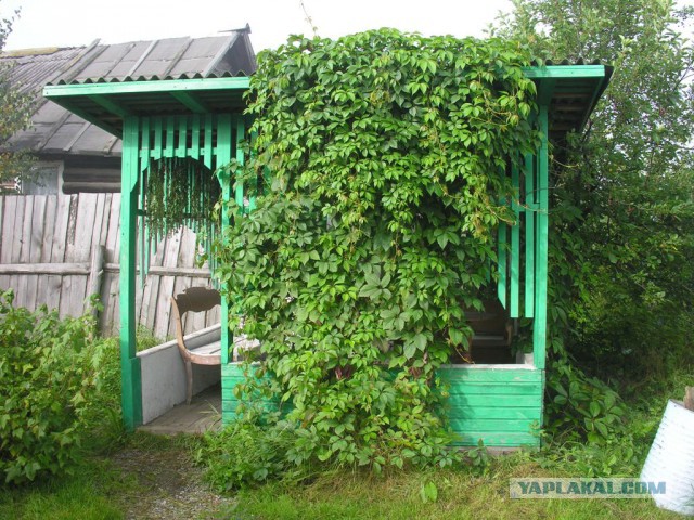 Каникулы в деревне
