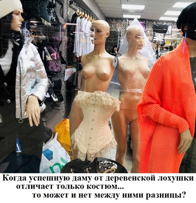 Домашняя философия