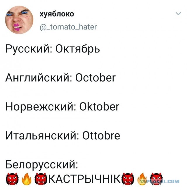 Немного картинок для настроения 12.02.20