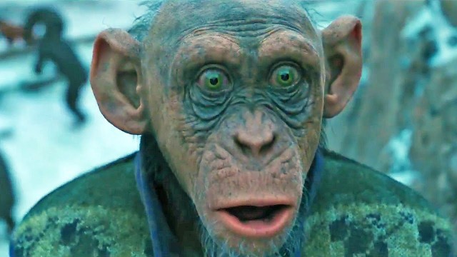 Только что на турнире AMC Fight Nights произошла драка Магомеда Исмаилова и Владимира Минеева в октагоне
