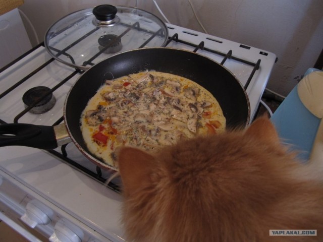 Омлет с персиком