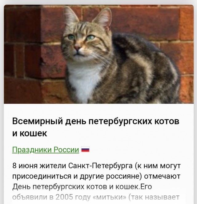 За женой на Филиппины
