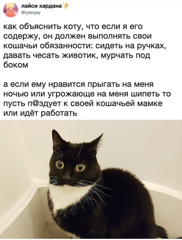 Картинки на вчера