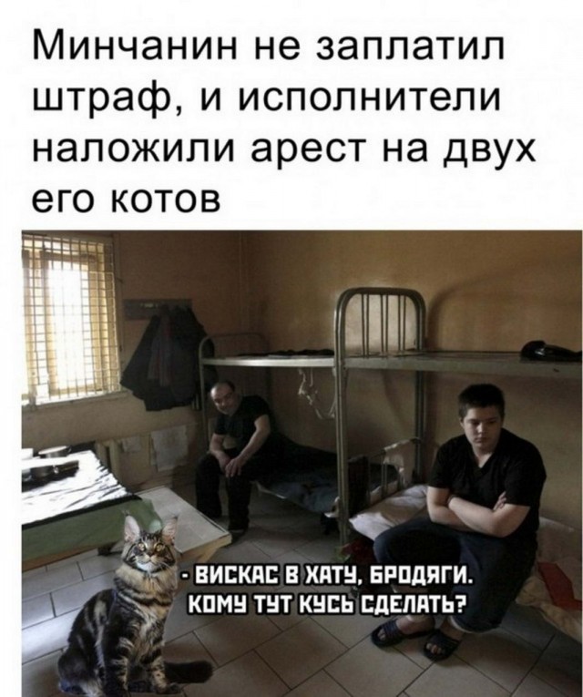 Картинки и мемы для настроения 27.07.2021