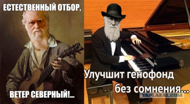 Казанцы, оспаривающие решение о QR-кодах, пришли в суд в тюремных робах