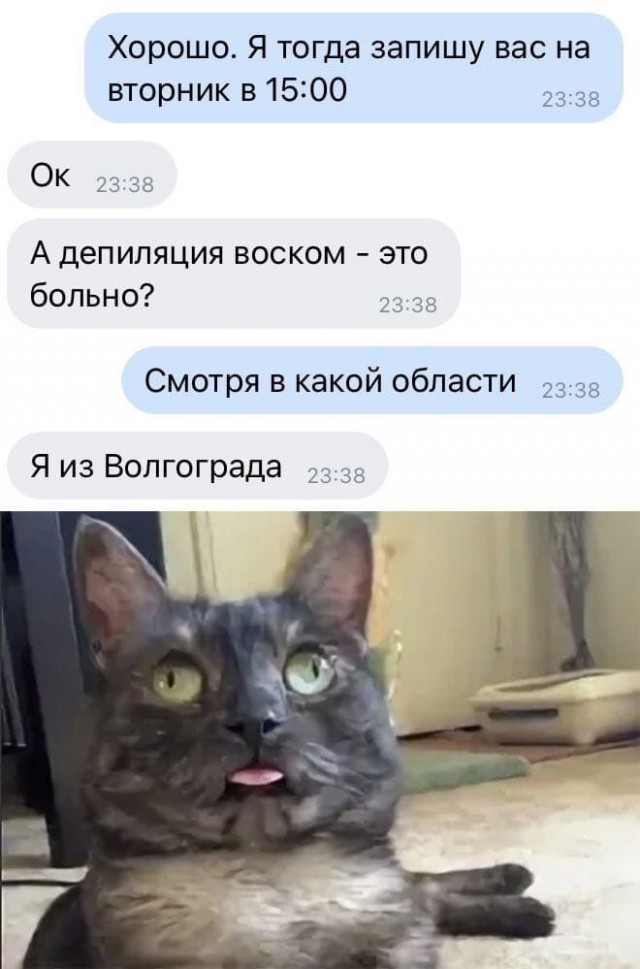 Опять о своих шлюхах думает...
