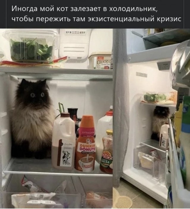 Картинки на разные темы 11.03.2022