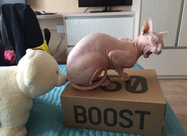 Весёлые картинки 13.04.2022