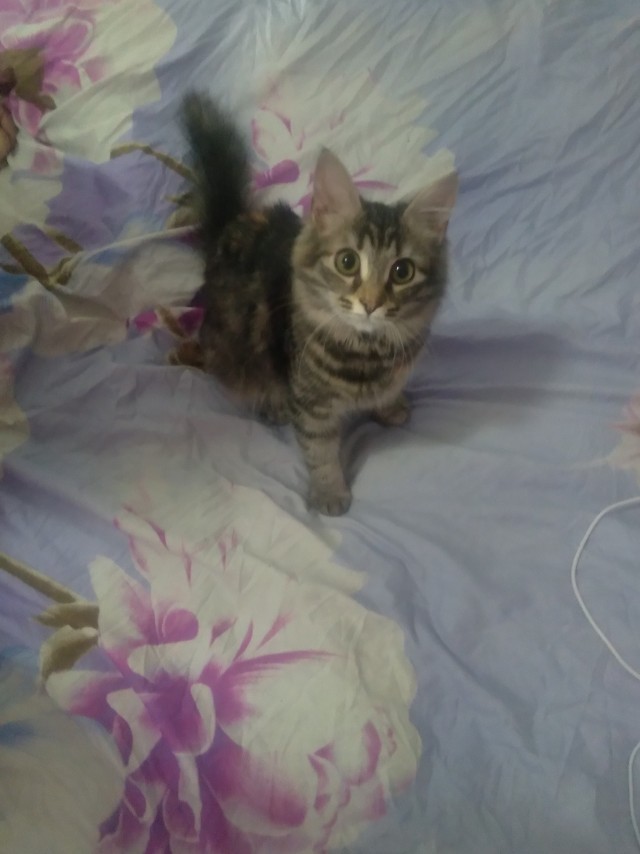 Весёлые картинки 13.04.2022