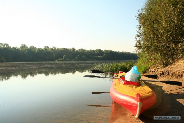 Сплав по Десне, сентябрь 2011