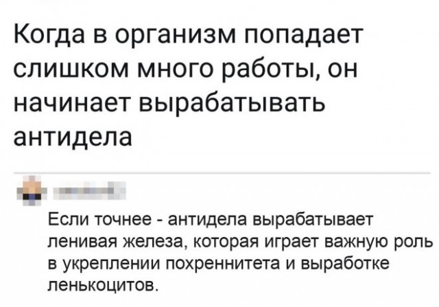 Картинки и мемы для настроения - 14