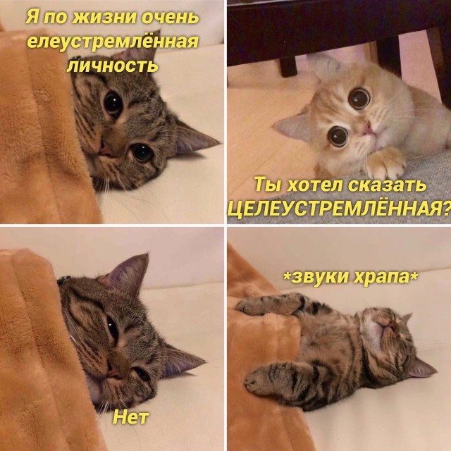 Весёлый полтишок  26.10.22
