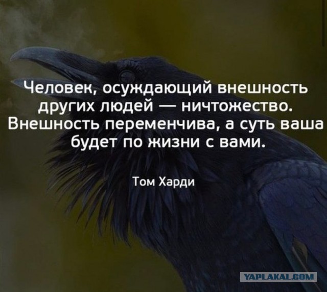 Почему отказался от премии миллион «зелёных» и стал затворником великий русский математик Перельман