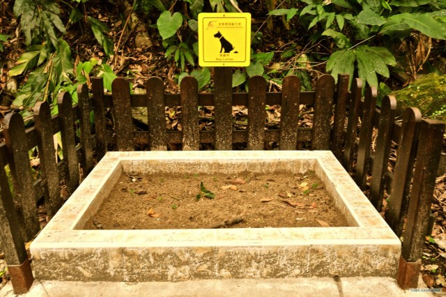 Гонконг или последнее Китайское предупреждение!