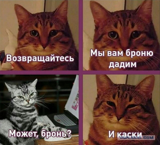 Руководство VK потребовало вернуть сотрудников, уехавших из России. Тех, кто откажется возвращаться, уволят