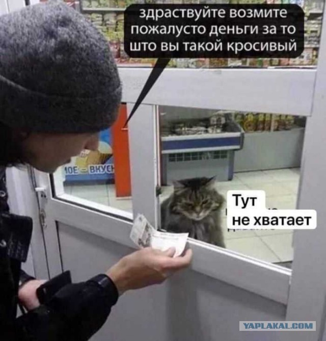 38 разных картинок для настроения (1)
