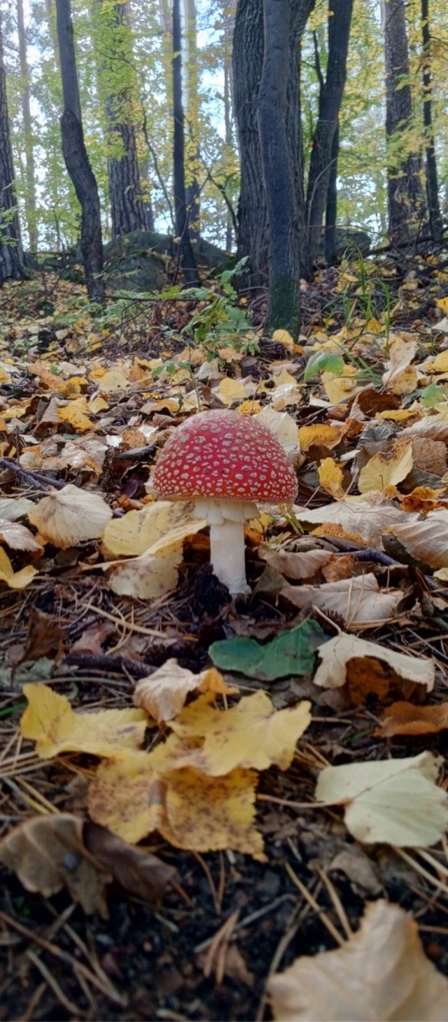 Природа. Урал