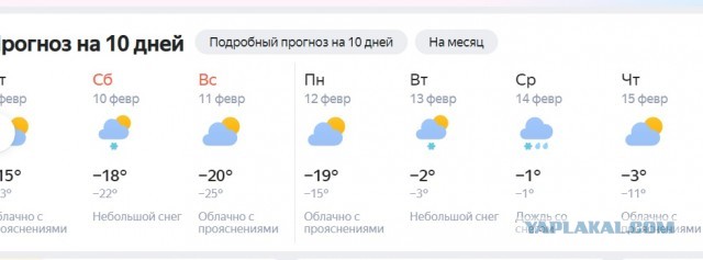 Почему мужчина начинает дико бухать, как только уезжает жена